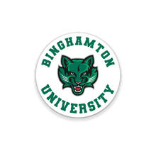 Load image into Gallery viewer, Binghamton University Care Package #2!
