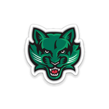 Load image into Gallery viewer, Binghamton University Care Package #1!