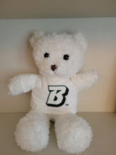 Load image into Gallery viewer, Binghamton University 12&quot; Teddy Bear
