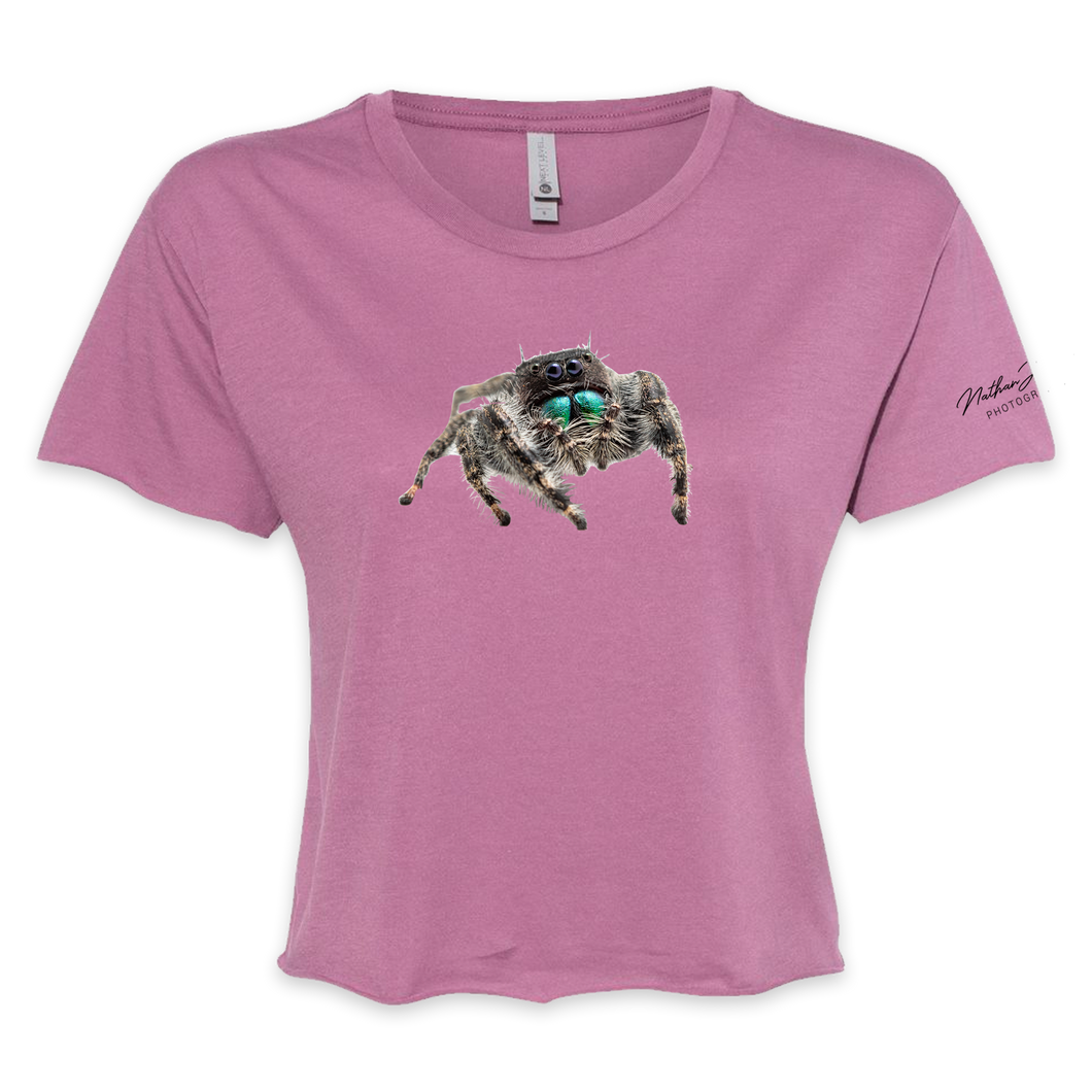 Nathan Jordan Photography - Jump Spider Cropped Tee