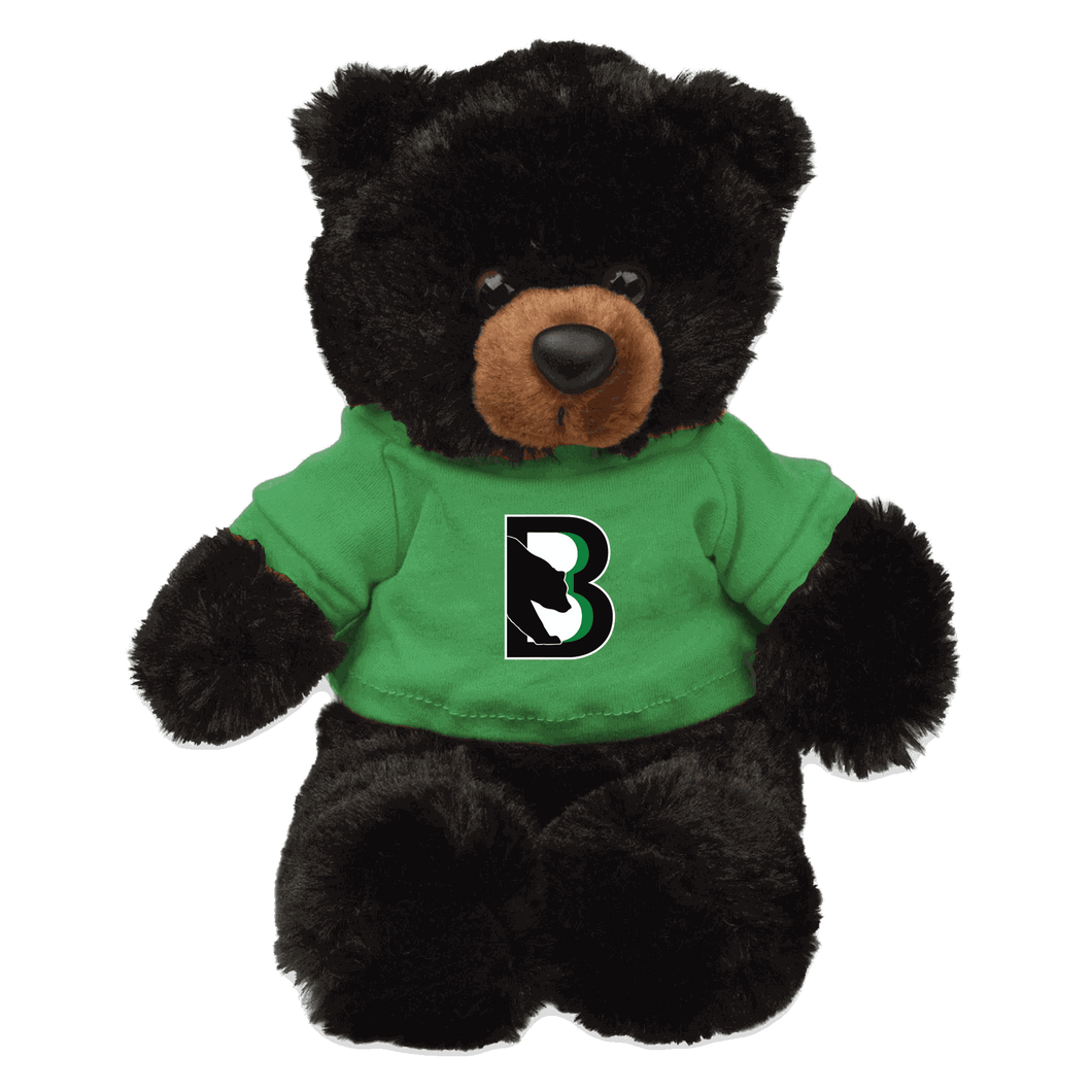 Black Bears Teddy Bear