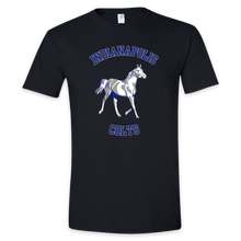 Load image into Gallery viewer, Haynesie Art - Indianapolis Colts T-Shirts
