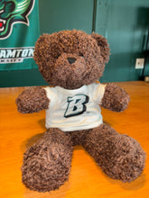 Load image into Gallery viewer, Binghamton University 12&quot; Teddy Bear
