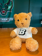 Load image into Gallery viewer, Binghamton University 12&quot; Teddy Bear
