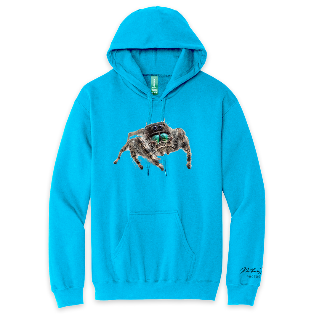 Nathan Jordan Photography - Jump Spider Hoodie