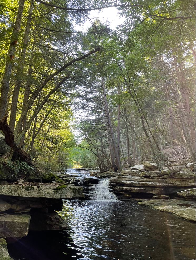 Photo Print - Catskills Stream Plunge Pool
