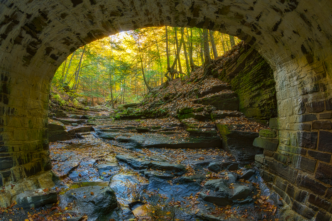 Arch Bridge Fall Framed Photo Print