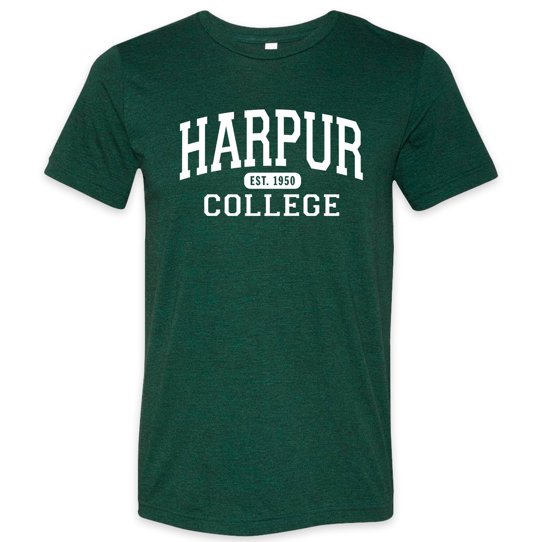 Harpur College Nostalgia Tee in Green